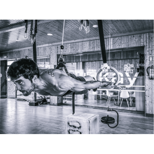 Calisthenics 2.0 Progresa en Calistenia