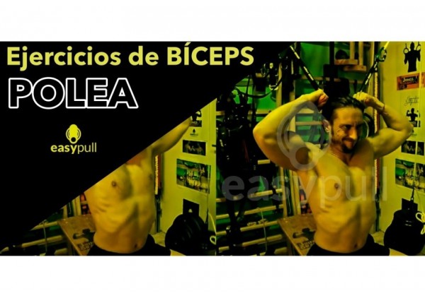 Biceps exercises with pulley: get a gymnast's biceps. Biceps exercises with pulley: get a gymnast's biceps.