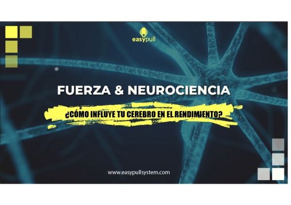 Fuerza y Neurociencia