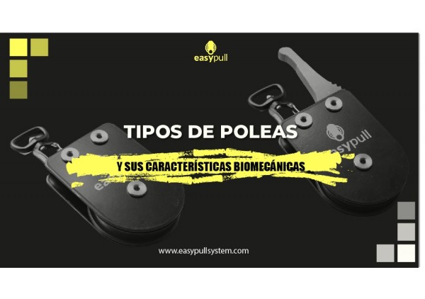 Tipos de poleas y sus características biomecánicas.