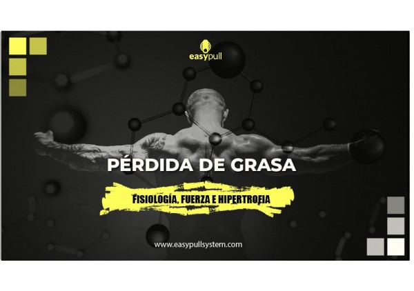 Fisiología de la pérdida de grasa y entrenamiento de fuerza e hipertrofia muscular.