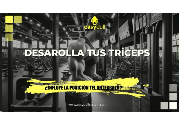 Cómo planificar tus entrenamientos con poleas de forma correcta. Cómo planificar tus entrenamientos con poleas de forma correcta.